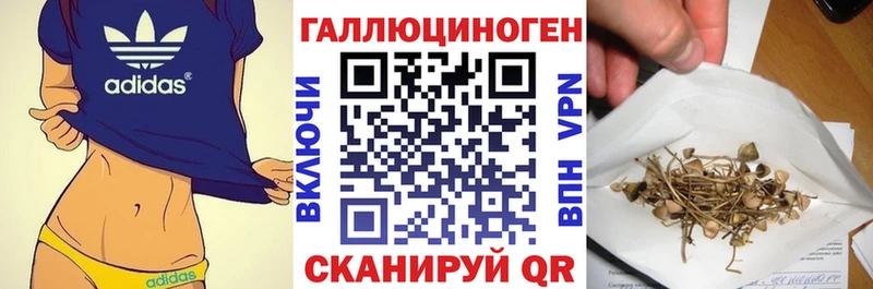 цены   Алупка  Псилоцибиновые грибы Magic Shrooms 